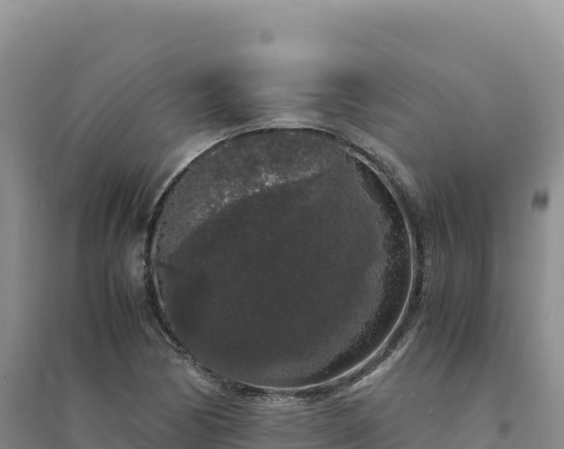 X0000094361170200711091508