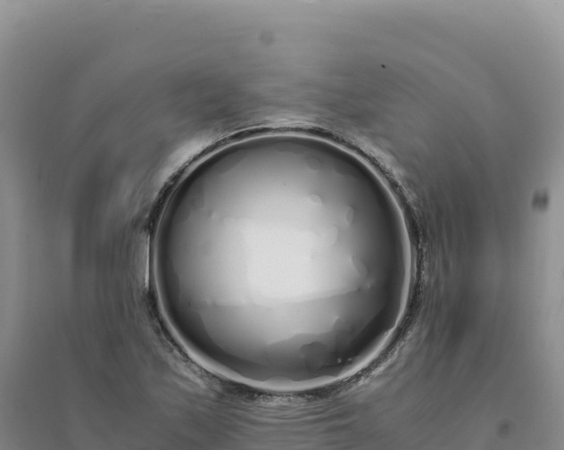 X0000094361171200711091508
