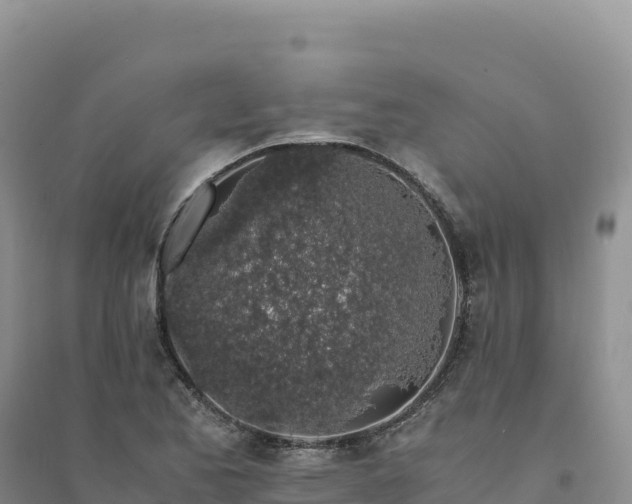 X0000094361173200711091508