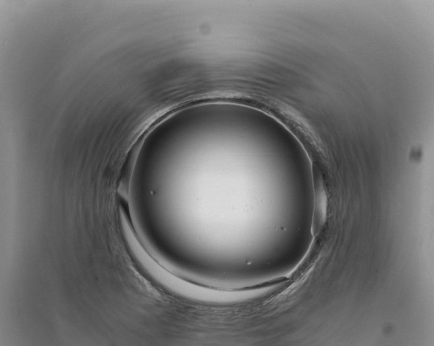 X0000094361177200711091508