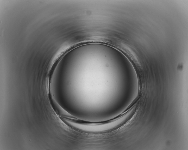 X0000094361180200711091508