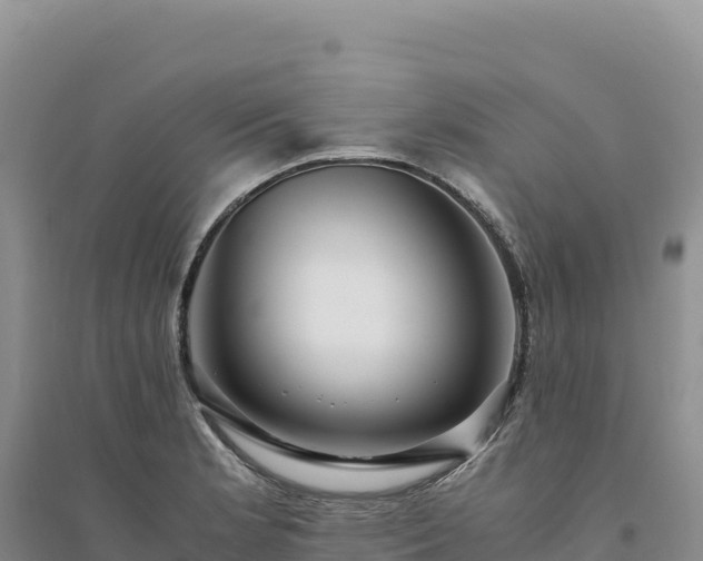 X0000094361181200711091508