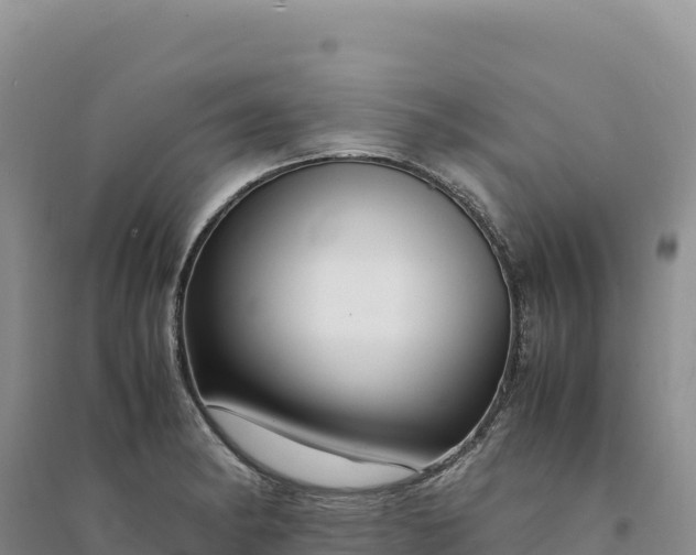 X0000094361182200711091508