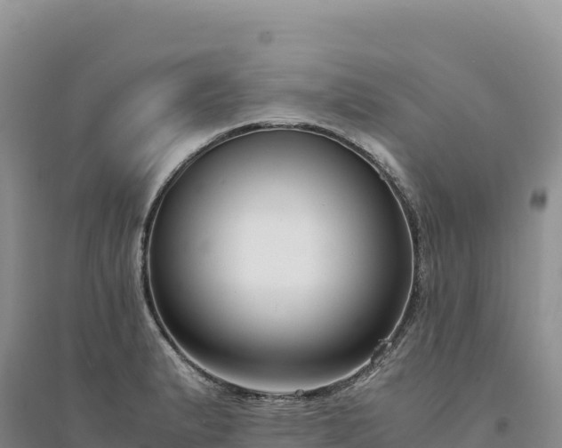 X0000094361183200711091508