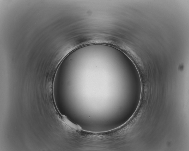 X0000094361185200711091508