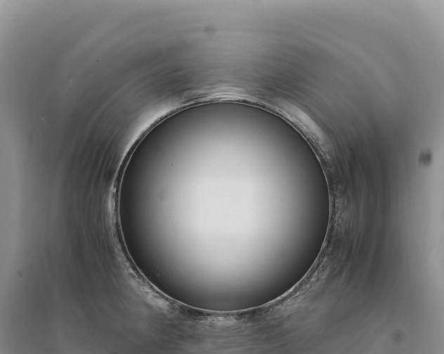 X0000094361190200711091508