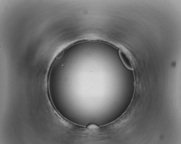 X0000094361191200711091508