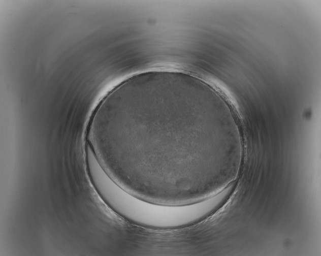 X0000094361192200711091508