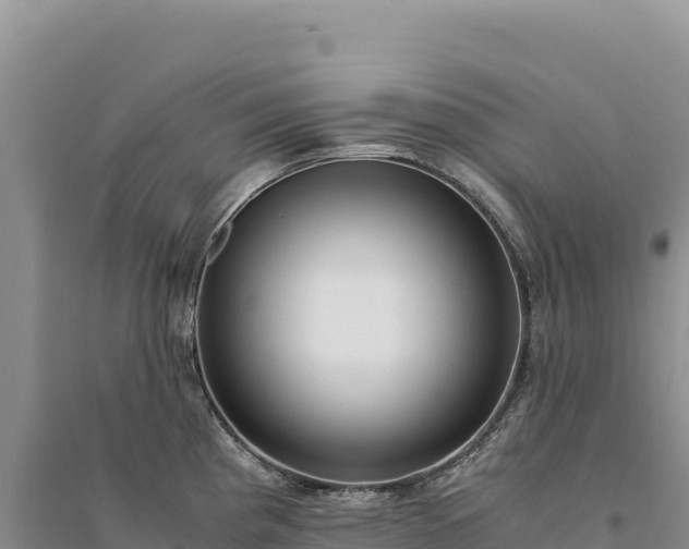 X0000094361193200711091508