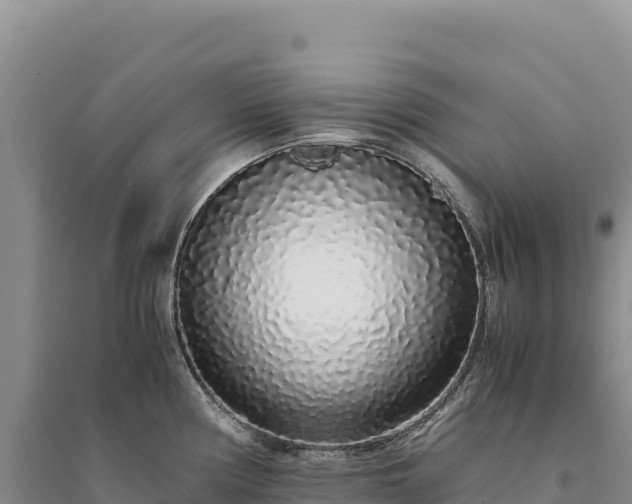 X0000094361194200711091508