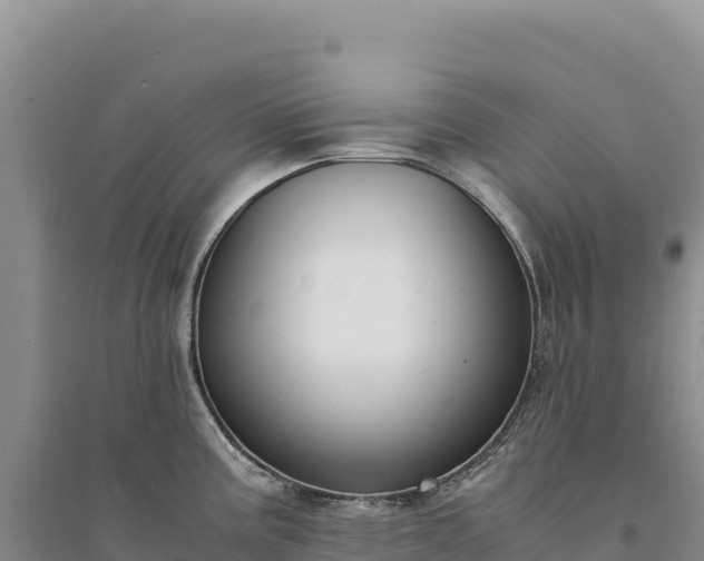 X0000094361195200711091508