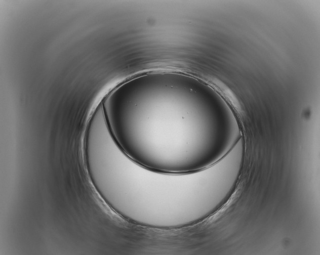 X0000094361196200711091508