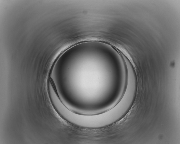 X0000094361197200711091508