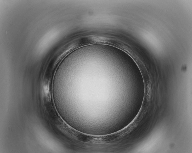 X0000094361198200711091508
