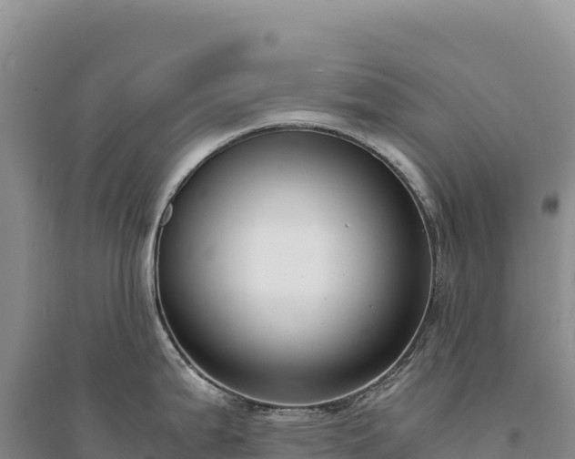 X0000094361199200711091508