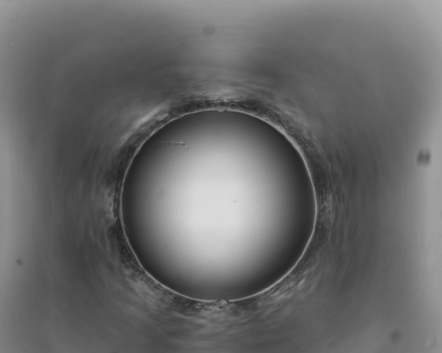 X0000094361205200711091507
