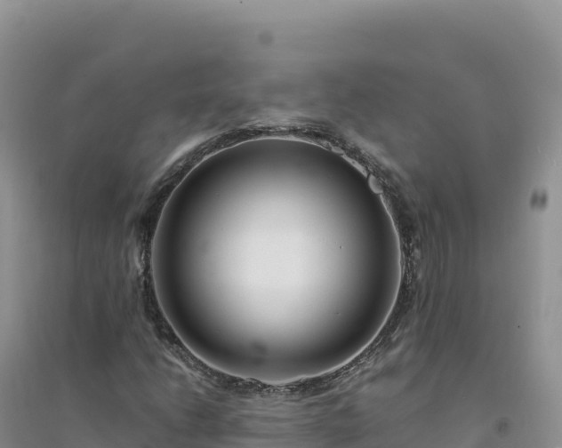 X0000094361206200711091507