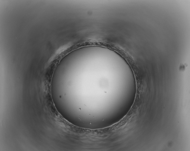X0000094361207200711091507