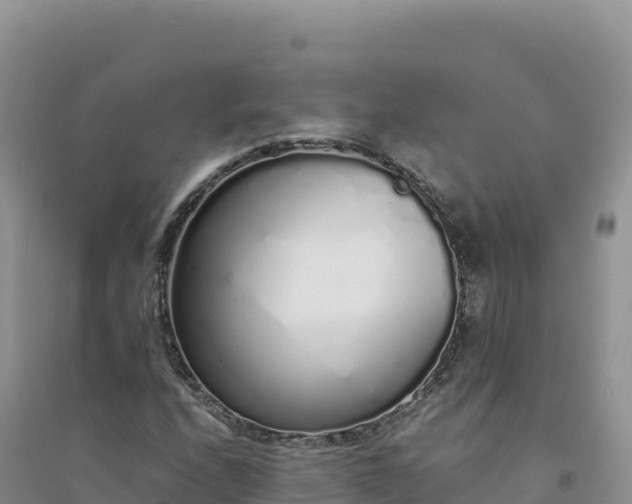 X0000094361208200711091507