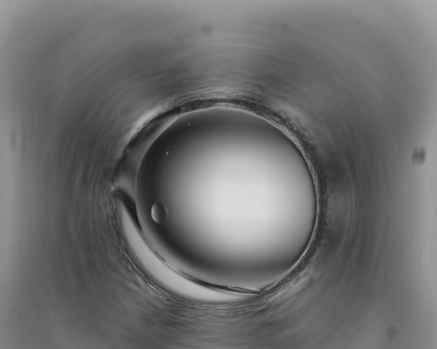 X0000094361210200711091507