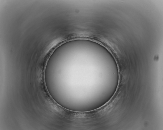 X0000094361211200711091507