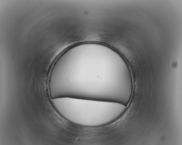 X0000094361212200711091507
