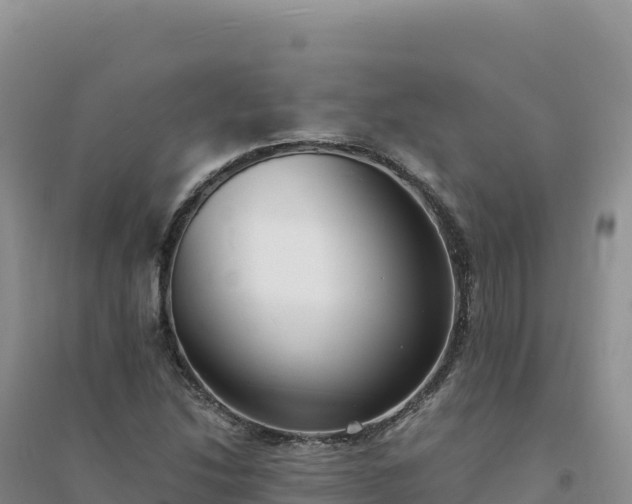 X0000094361214200711091507