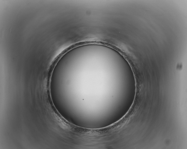 X0000094361216200711091507