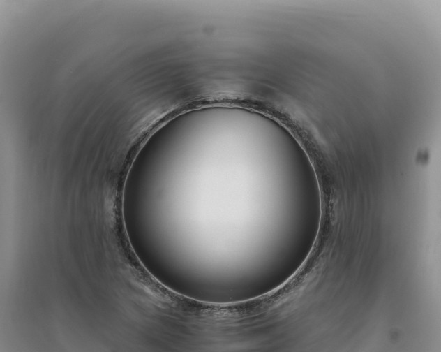 X0000094361217200711091507