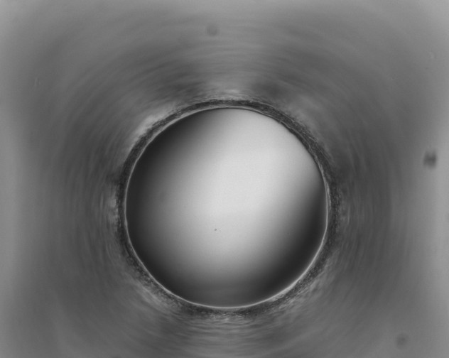 X0000094361218200711091507