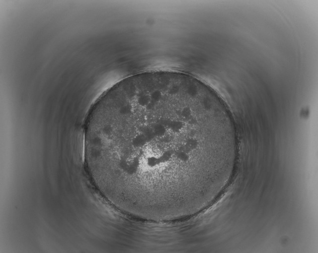X0000094361219200711091507