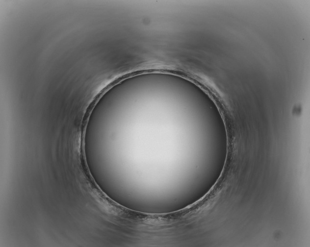 X0000094361220200711091507