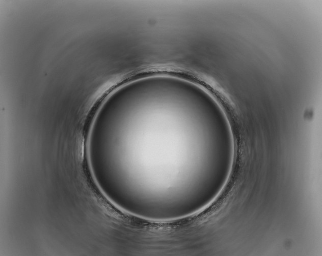 X0000094361221200711091507