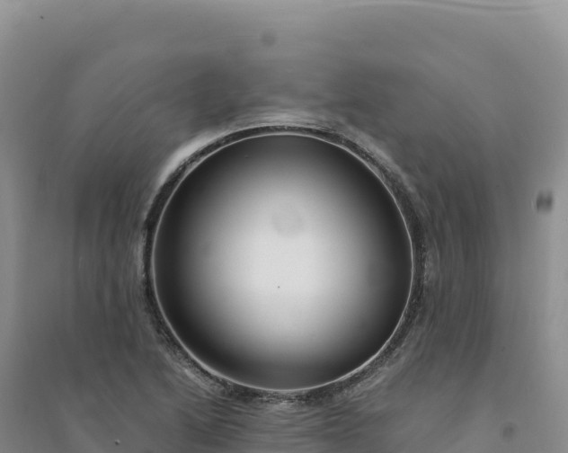 X0000094361222200711091507