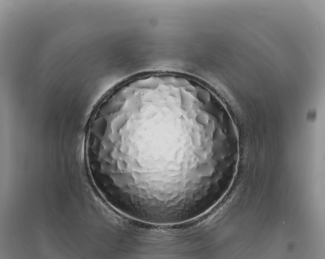 X0000094361224200711091507