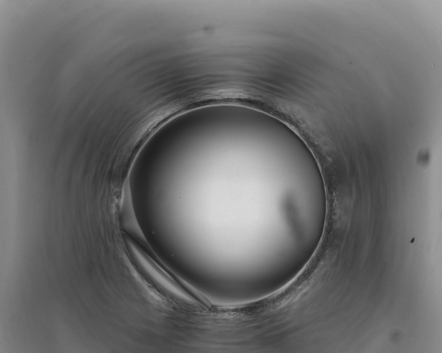 X0000094361225200711091507