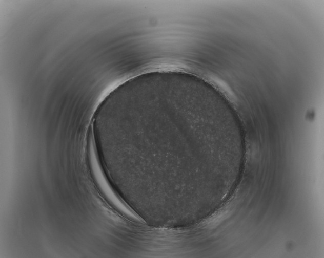 X0000094361226200711091507