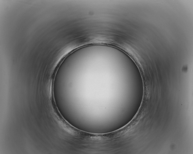 X0000094361227200711091507