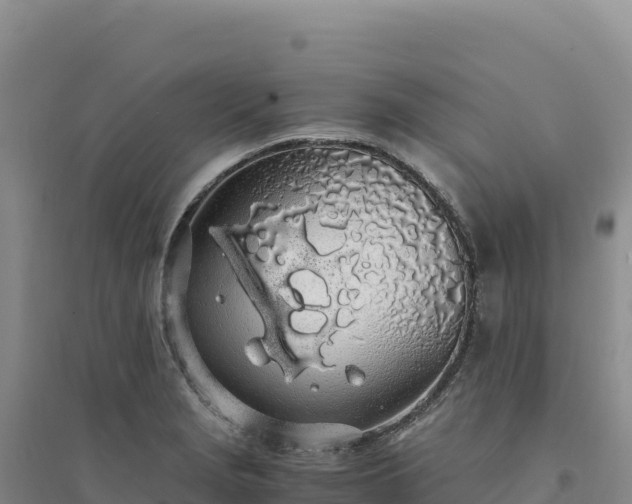 X0000094361229200711091507