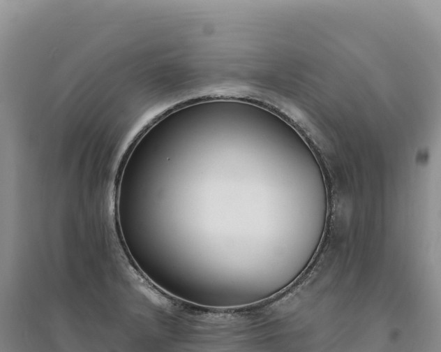 X0000094361232200711091507