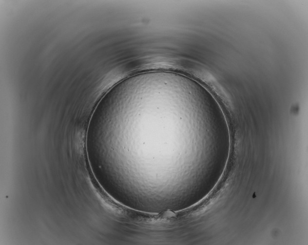 X0000094361233200711091507