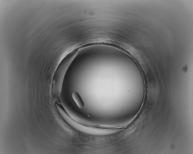 X0000094361234200711091507
