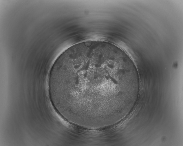 X0000094361235200711091507