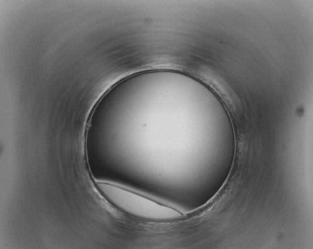 X0000094361236200711091507