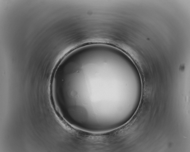 X0000094361237200711091507