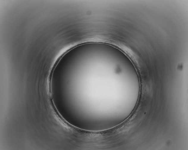 X0000094361238200711091507