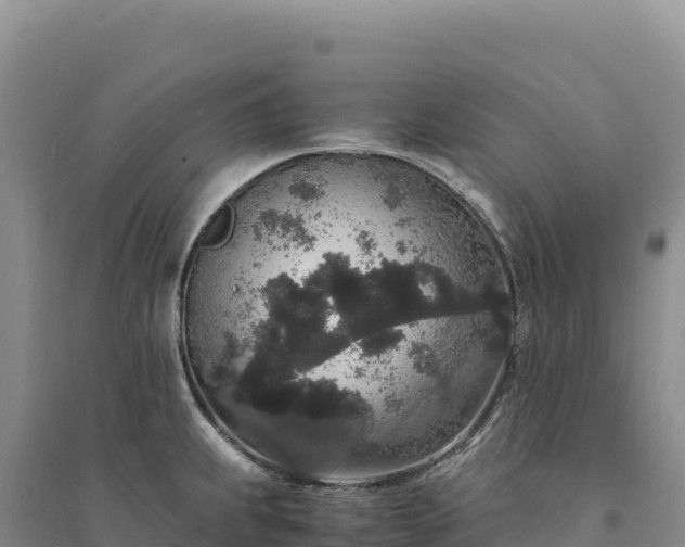 X0000094361239200711091507