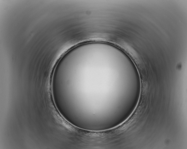 X0000094361240200711091507