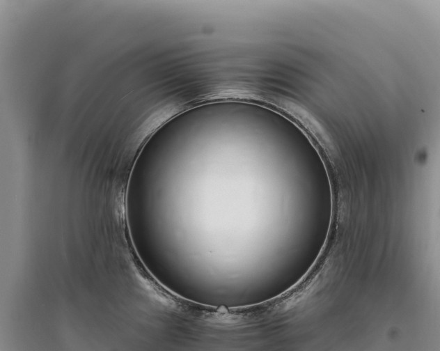 X0000094361241200711091507