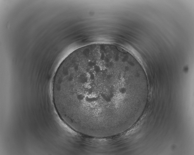 X0000094361243200711091507